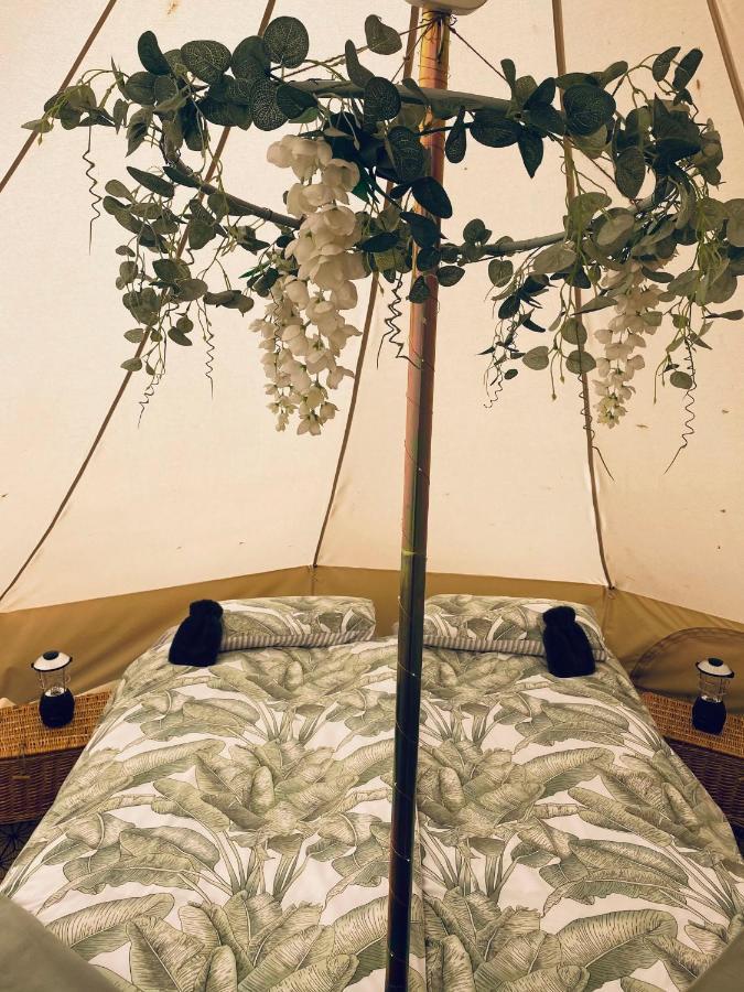 Duneden Belle Glamping Randalstown Dış mekan fotoğraf