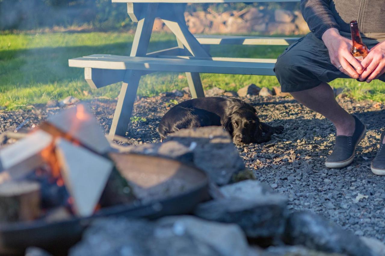 Duneden Belle Glamping Randalstown Dış mekan fotoğraf